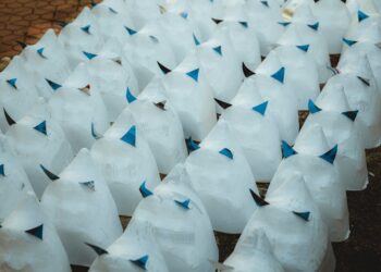 Does Chick-fil-A Sell Bags of Ice?