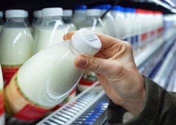 Does Dollar Tree Sell Milk