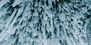 Does Target Sell Ice?